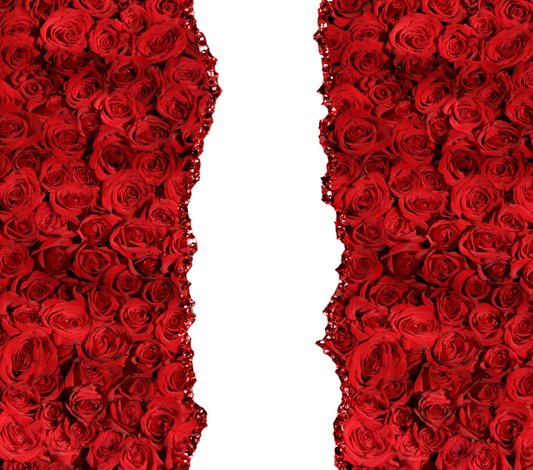 Red Roses Valentine