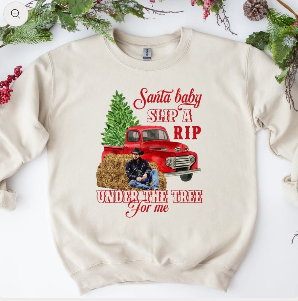 Santa Baby Shirt